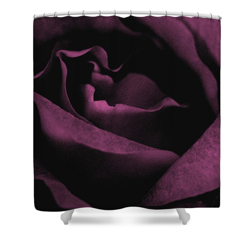Rose Abstract Shower Curtain featuring the photograph Mystic Love by The Art Of Marilyn Ridoutt-Greene