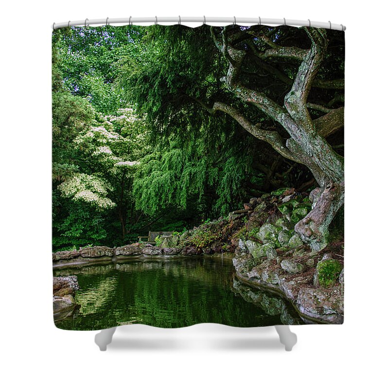 Trees Shower Curtain featuring the photograph Mystical Forest I by Debra Fedchin