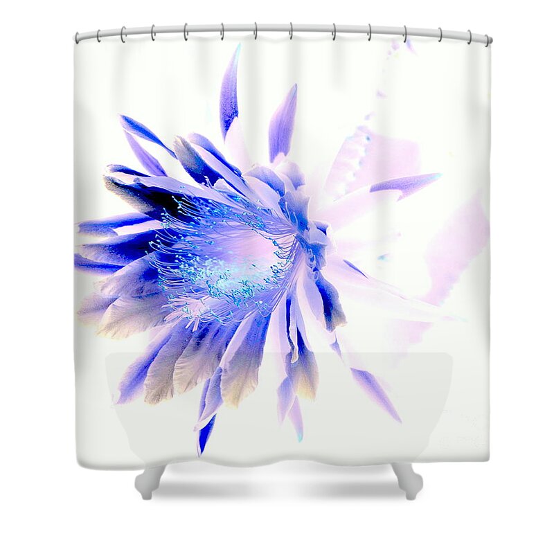 Cactus Shower Curtain featuring the photograph Mystical Phenomenoms of the Southwest Cactus Orchid by Antonia Citrino