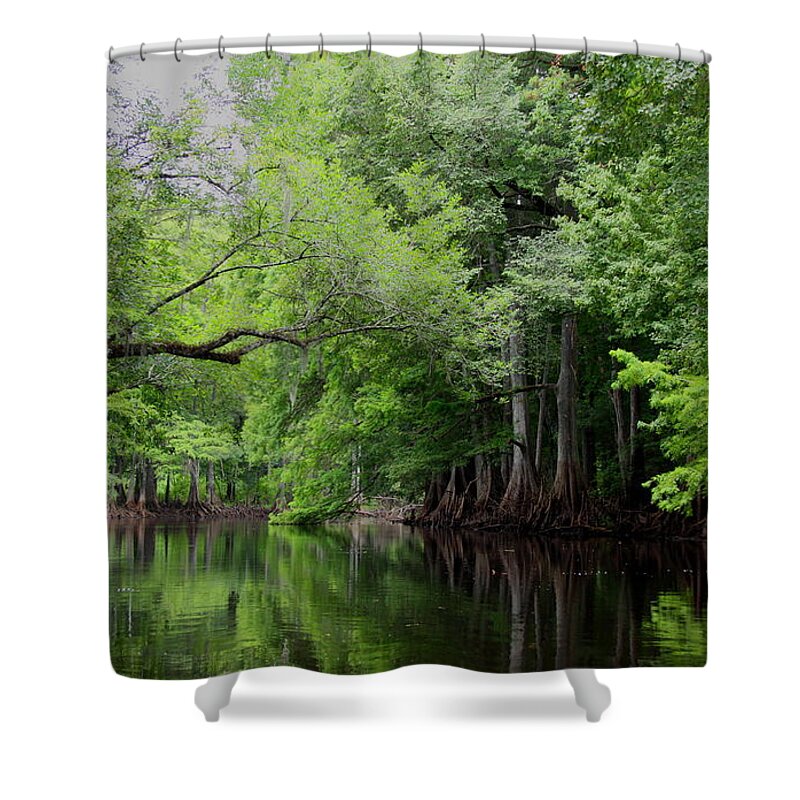 Withlacoochee River Shower Curtain featuring the photograph Mystical Withlacoochee River by Barbara Bowen