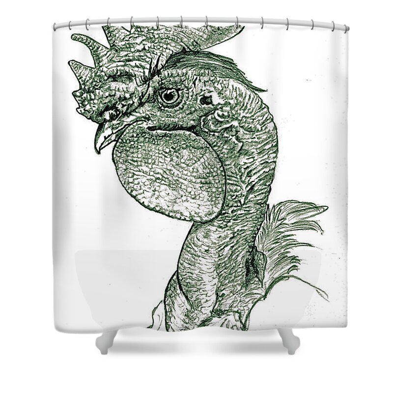 Rooster Shower Curtain featuring the drawing Naked neck Rooster by Susan Baker