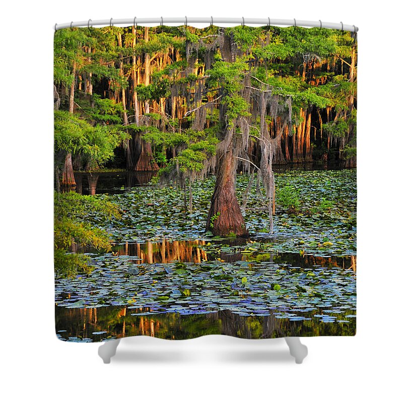 Bog Shower Curtain featuring the photograph Naked by Skip Hunt