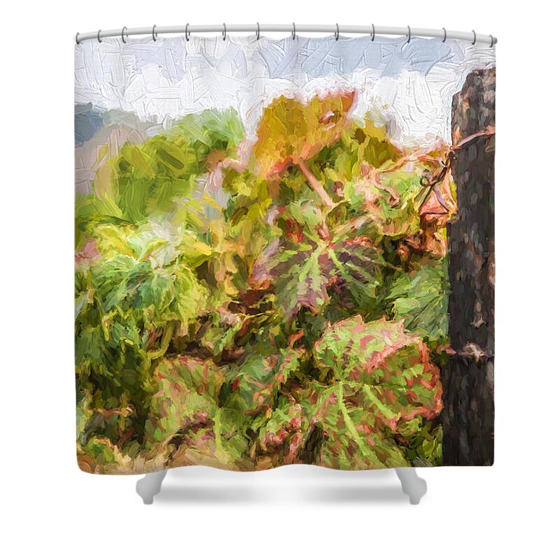 David Letts Shower Curtain featuring the painting Napa Vineyard by David Letts