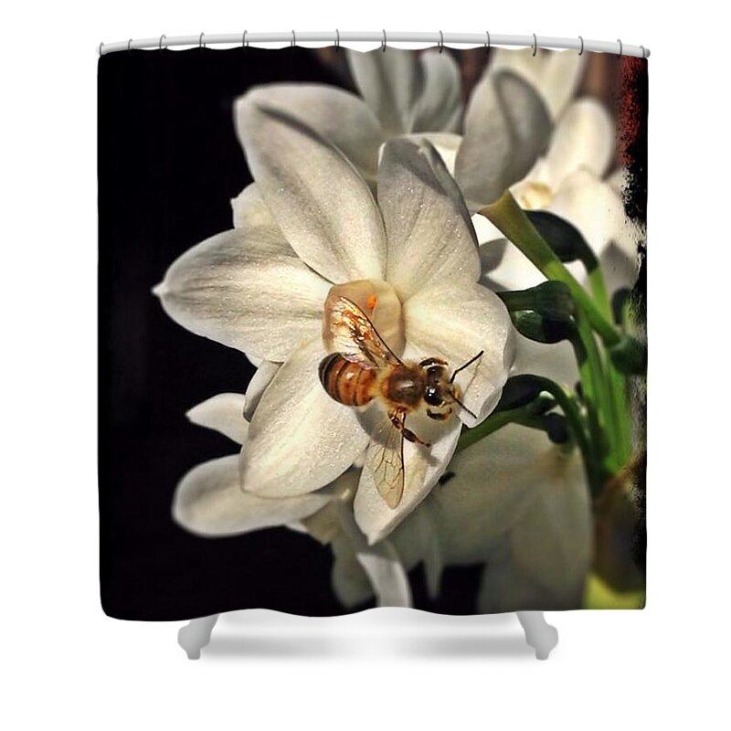 Narcissus Shower Curtain featuring the photograph Narcissus and the Bee 3 by Daniele Smith