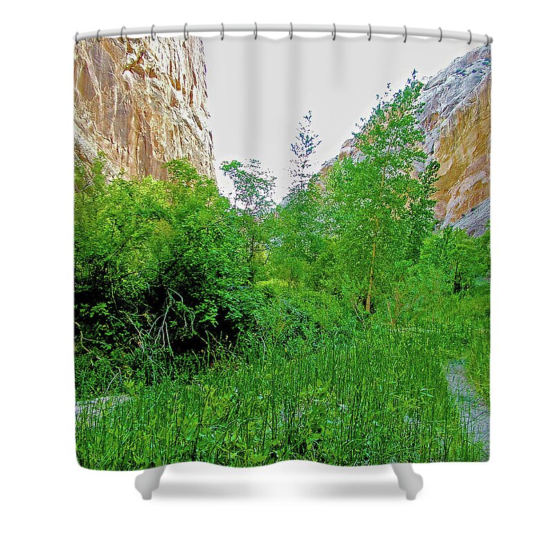 Narrows On Hog Canyon Trail On Tour Of The Tilted Rocks In Dinosaur National Monument Shower Curtain featuring the photograph Narrows on Hog Canyon Trail on Tour of the Tilted Rocks in Dinosaur National Monument, Utah by Ruth Hager