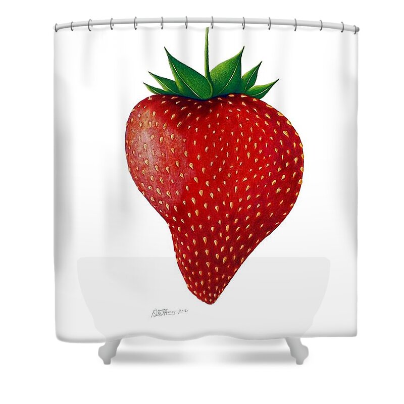 Strawberry Shower Curtain featuring the drawing Natural Beauty by Danielle R T Haney