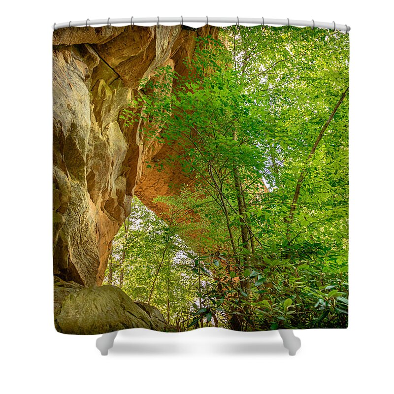 Kentucky Shower Curtain featuring the photograph Natural Bridge 5 by Michael Scott