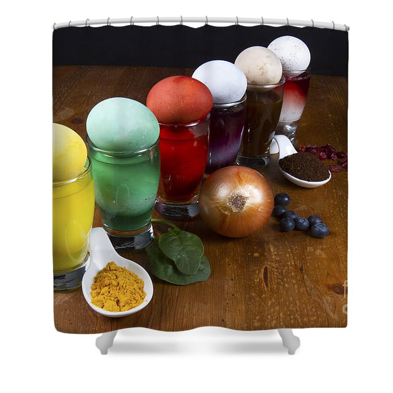 Easter Shower Curtain featuring the photograph Natural Easter Egg dyes by Karen Foley