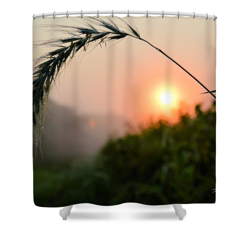 Sun Shower Curtain featuring the photograph Natural Frame by Bonfire Photography