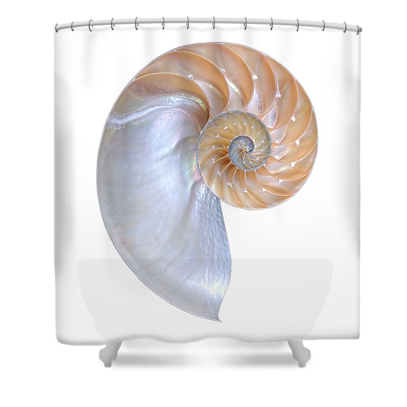 Nautilus Seashell Shower Curtain featuring the photograph Natural Nautilus On White Vertical by Gill Billington