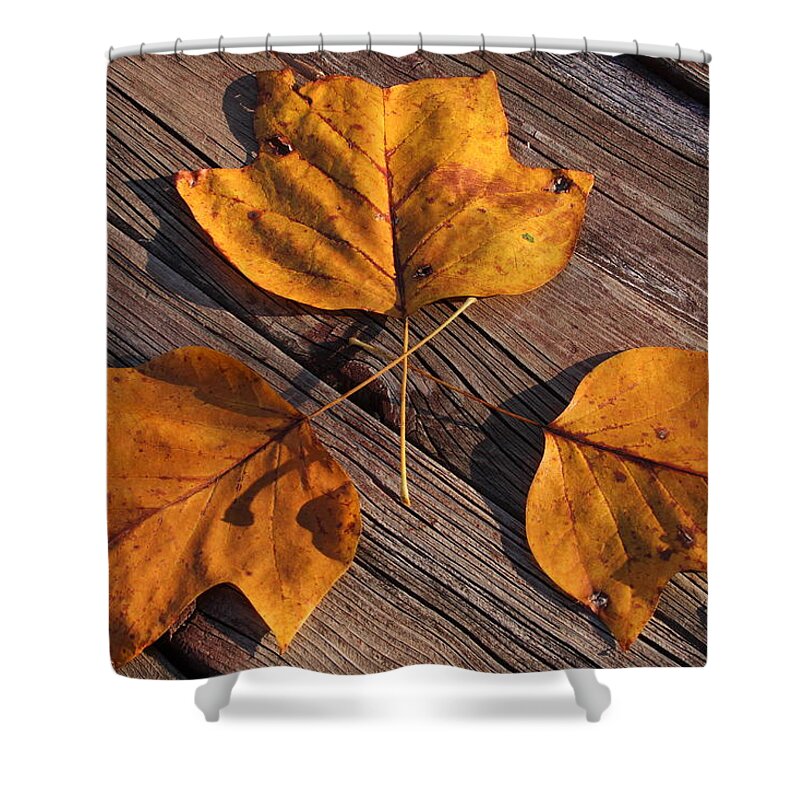 Leaves Shower Curtain featuring the photograph Nature and Me by Lyle Hatch