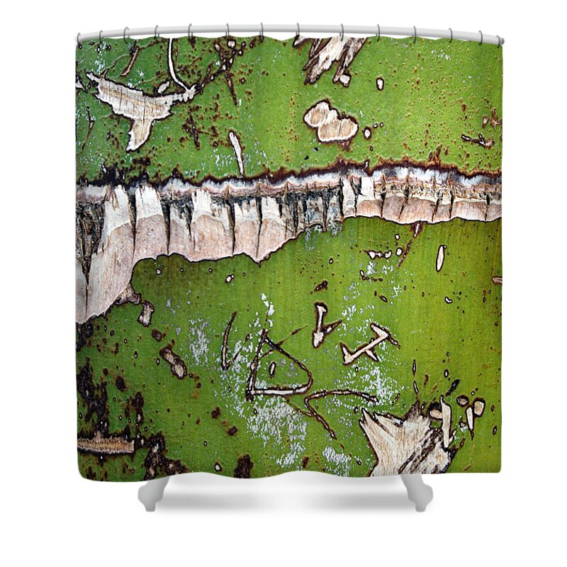 Nature Shower Curtain featuring the photograph Nature Art by Munir Alawi