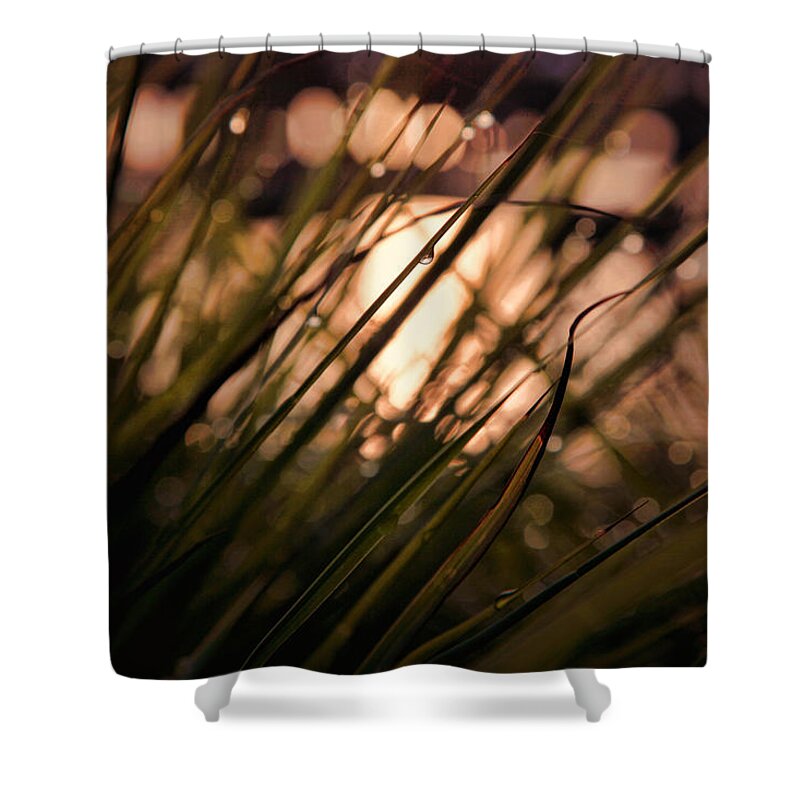Nature Shower Curtain featuring the photograph Nature at Peace by Toni Hopper