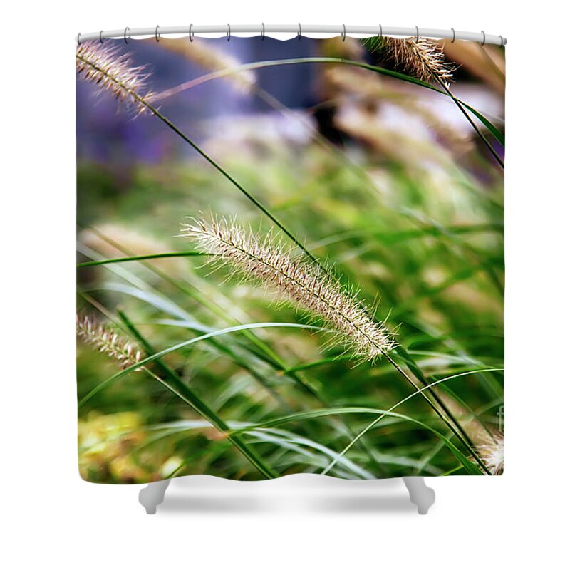 Nature Shower Curtain featuring the photograph Nature Background by Ariadna De Raadt