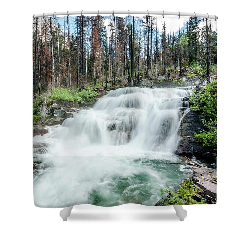 Glacier Shower Curtain featuring the photograph Nature Finds A Way by Margaret Pitcher