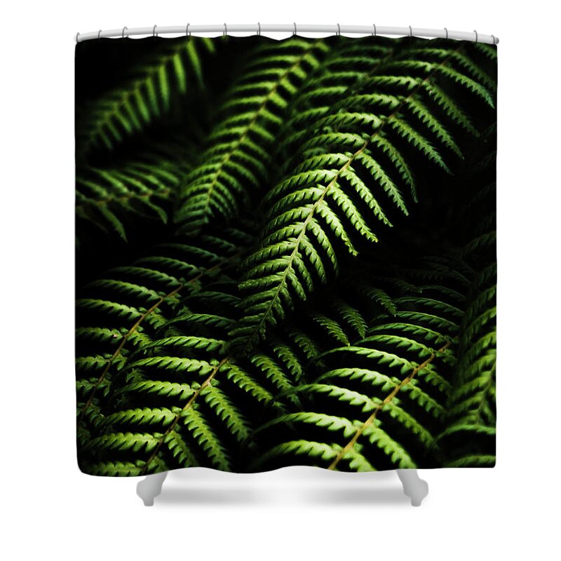 Tropical Shower Curtain featuring the photograph Nature in minimalism by Jorgo Photography