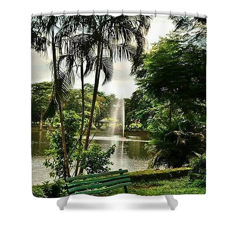 shower curtains trees nature
