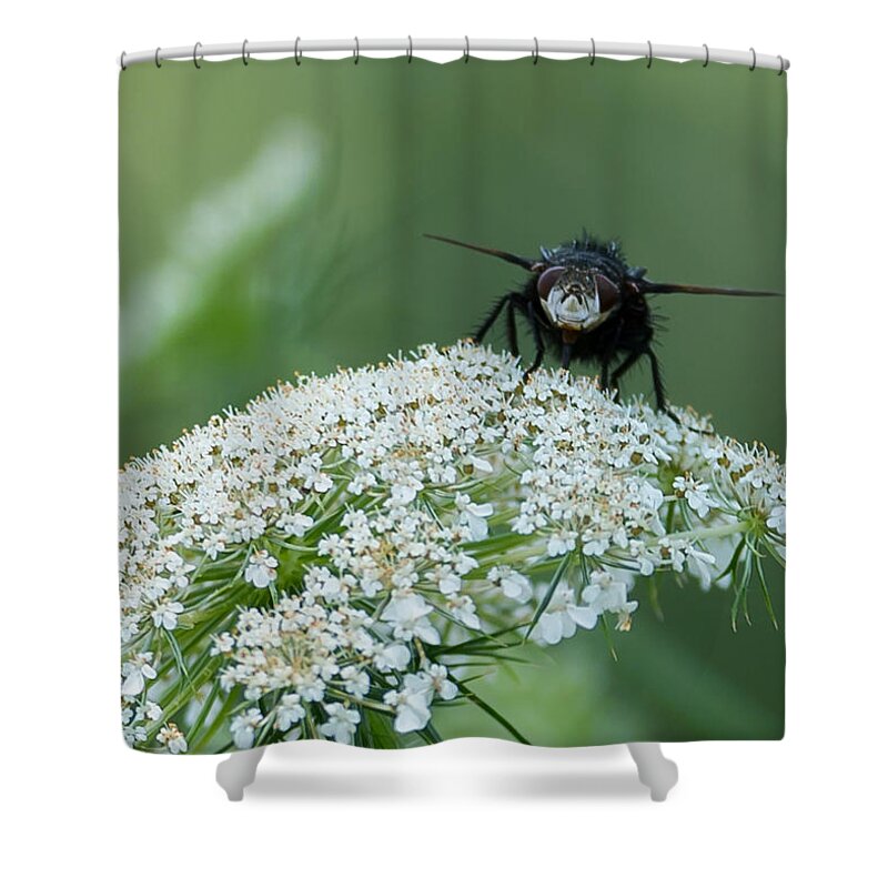 Plant Shower Curtain featuring the photograph Nature Up Close by Holden The Moment
