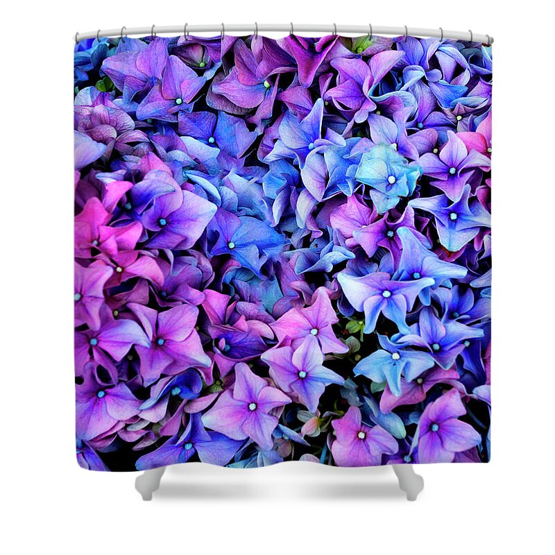 Photography Shower Curtain featuring the photograph Natures Art II by Paul Wear