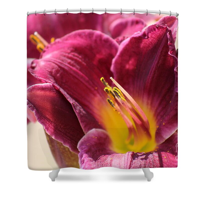 Pink Shower Curtain featuring the photograph Nature's Beauty 123 by Deena Withycombe