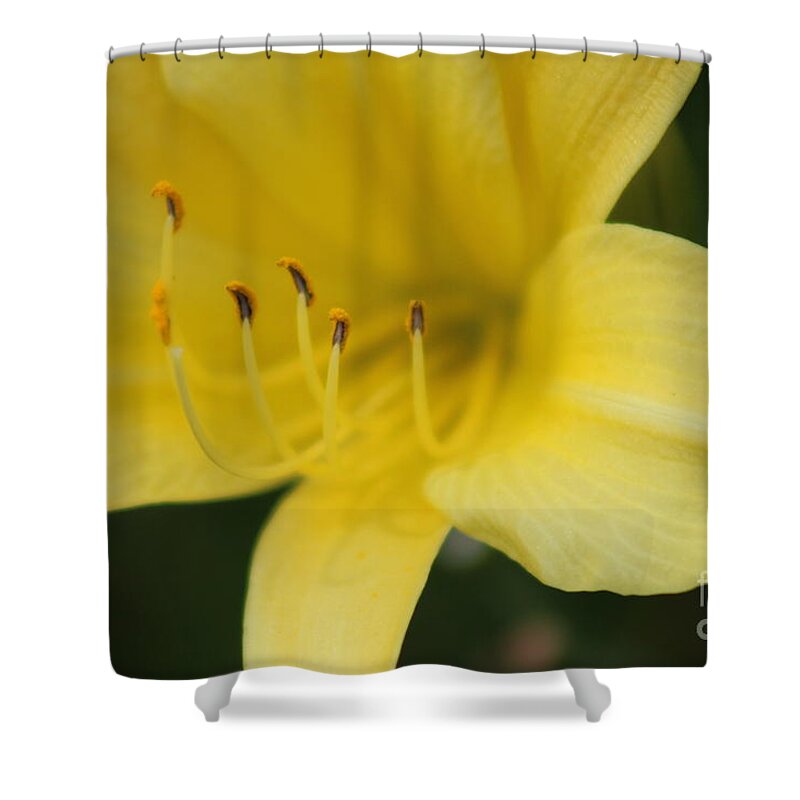 Yellow Shower Curtain featuring the photograph Nature's Beauty 38 by Deena Withycombe