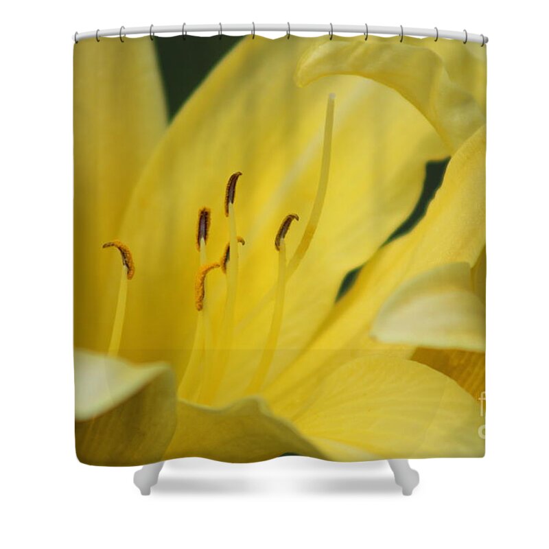 Yellow Shower Curtain featuring the photograph Nature's Beauty 40 by Deena Withycombe