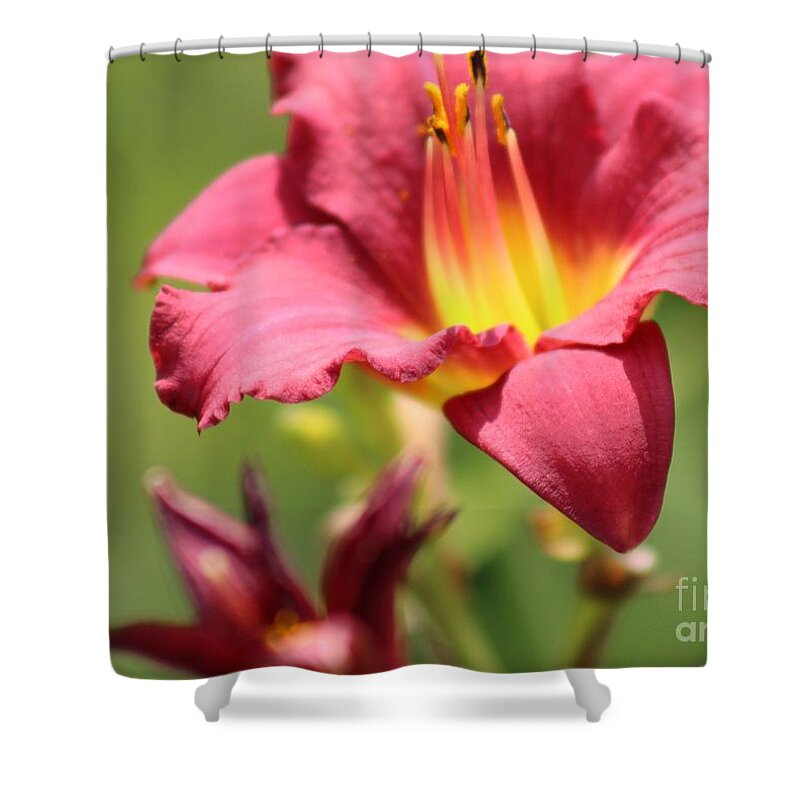 Yellow Shower Curtain featuring the photograph Nature's Beauty 44 by Deena Withycombe
