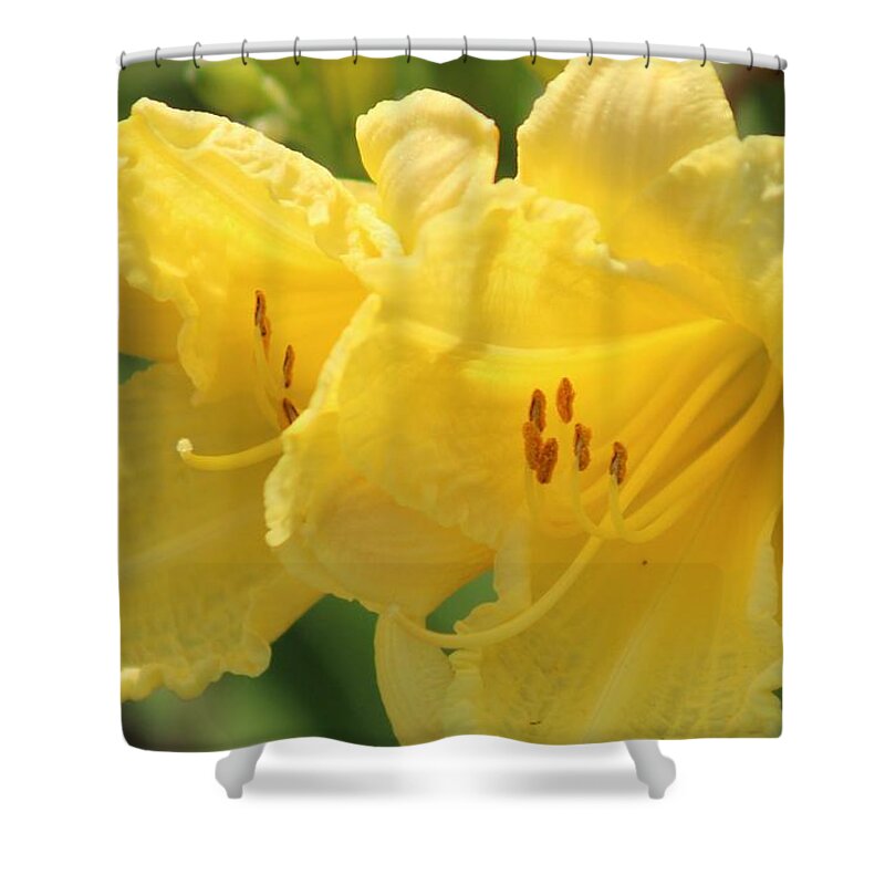 Yellow Shower Curtain featuring the photograph Nature's Beauty 45 by Deena Withycombe