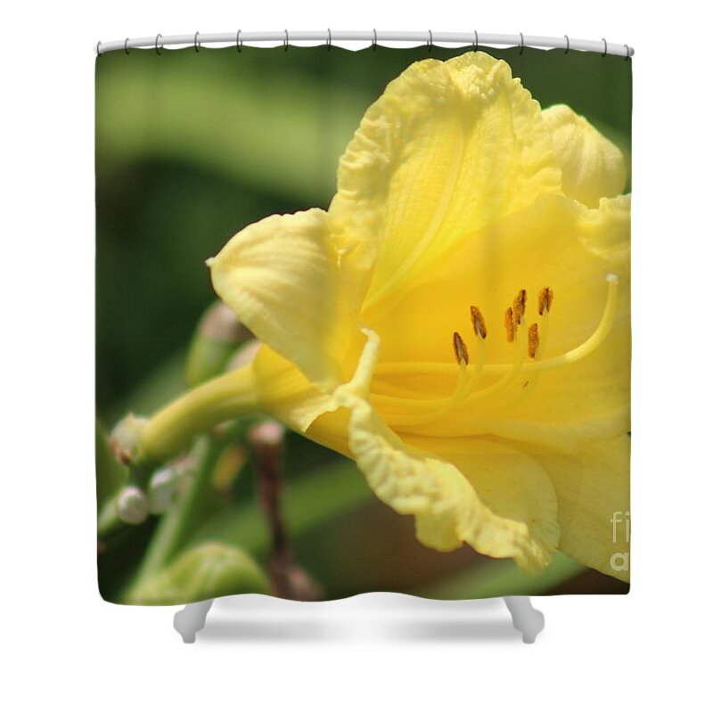Yellow Shower Curtain featuring the photograph Nature's Beauty 46 by Deena Withycombe