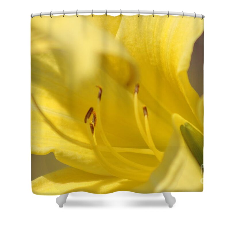 Yellow Shower Curtain featuring the photograph Nature's Beauty 47 by Deena Withycombe