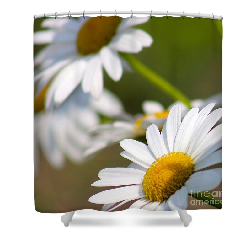 Yellow Shower Curtain featuring the photograph Nature's Beauty 58 by Deena Withycombe