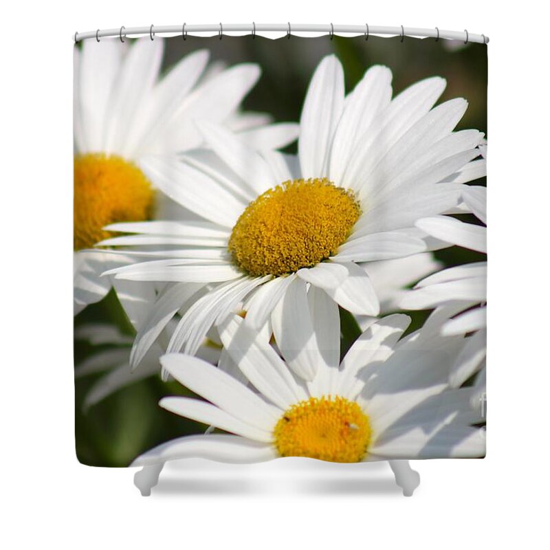 Yellow Shower Curtain featuring the photograph Nature's Beauty 60 by Deena Withycombe