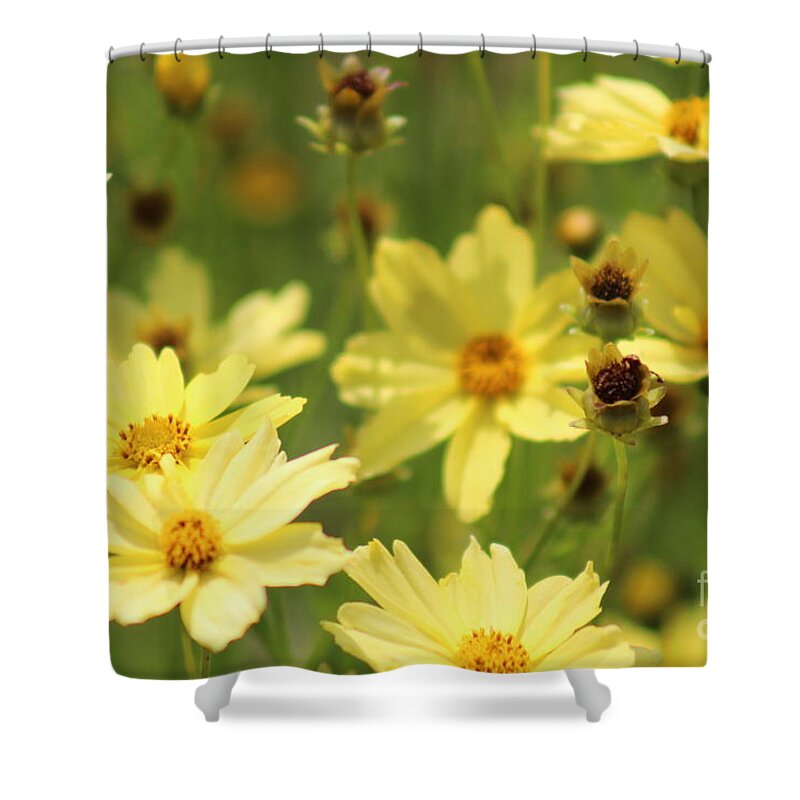 Yellow Shower Curtain featuring the photograph Nature's Beauty 61 by Deena Withycombe