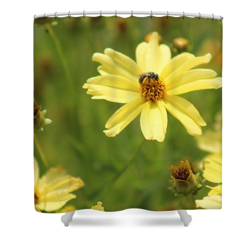 Yellow Shower Curtain featuring the photograph Nature's Beauty 62 by Deena Withycombe