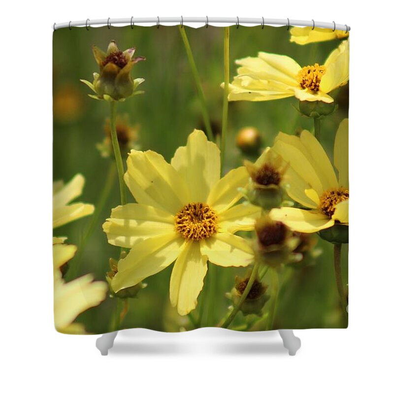 Yellow Shower Curtain featuring the photograph Nature's Beauty 64 by Deena Withycombe