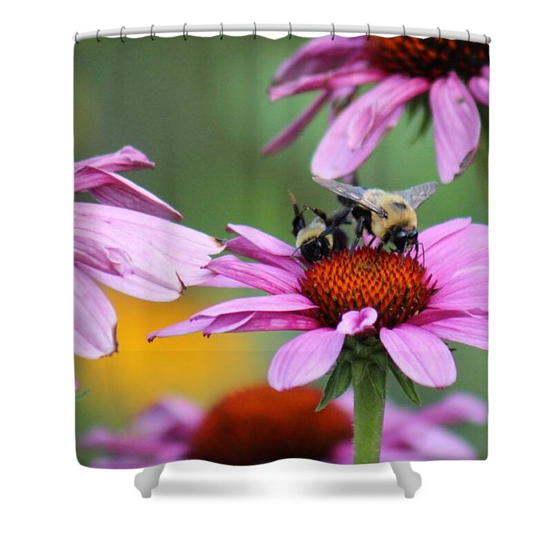 Pink Shower Curtain featuring the photograph Nature's Beauty 65 by Deena Withycombe
