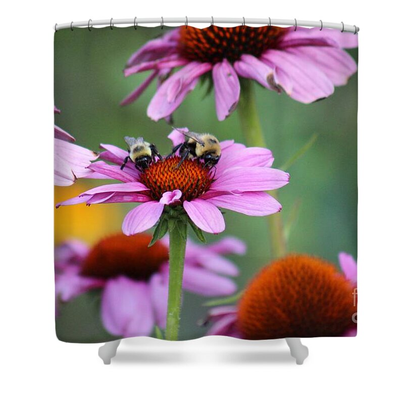 Pink Shower Curtain featuring the photograph Nature's Beauty 66 by Deena Withycombe