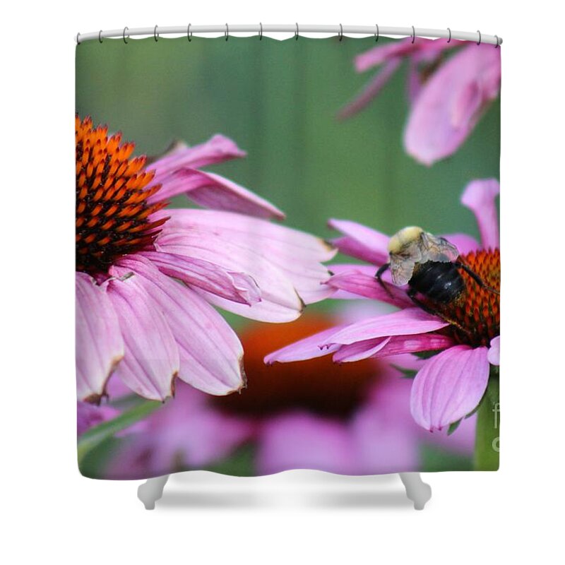 Pink Shower Curtain featuring the photograph Nature's Beauty 71 by Deena Withycombe