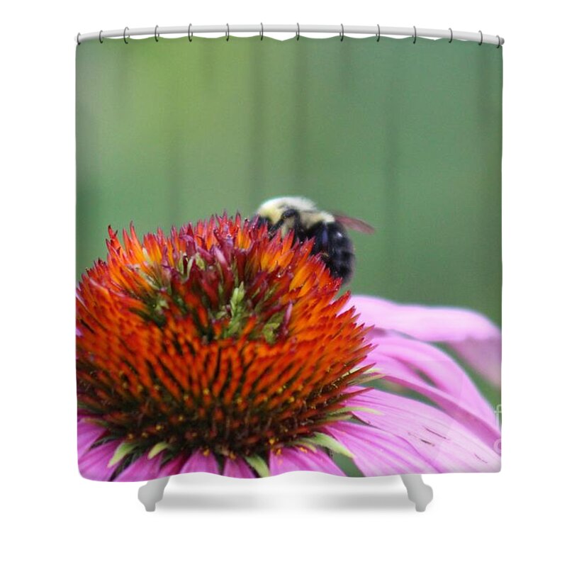 Pink Shower Curtain featuring the photograph Nature's Beauty 73 by Deena Withycombe