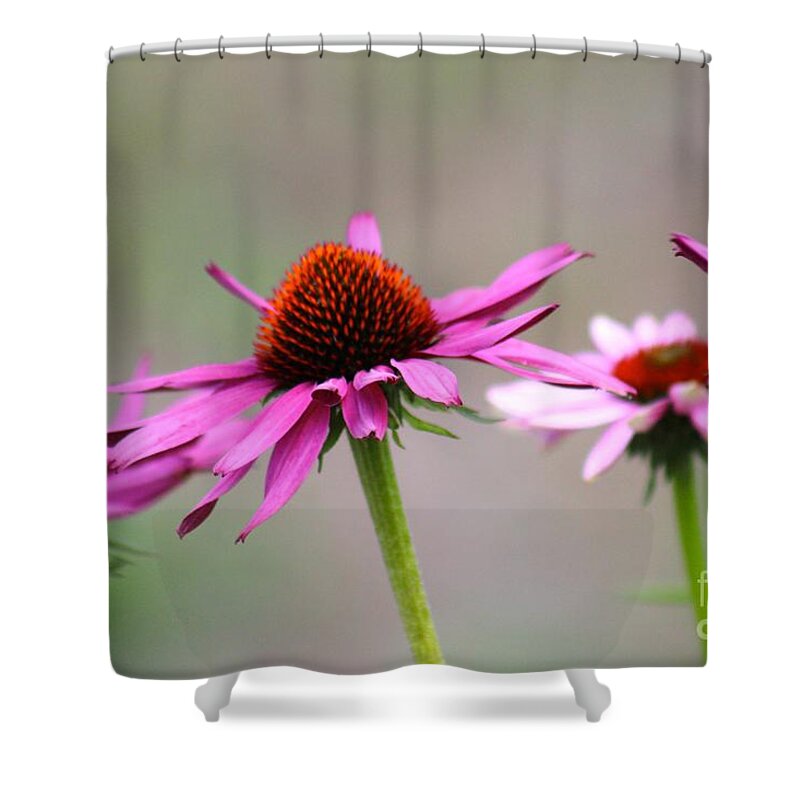 Pink Shower Curtain featuring the photograph Nature's Beauty 81 by Deena Withycombe