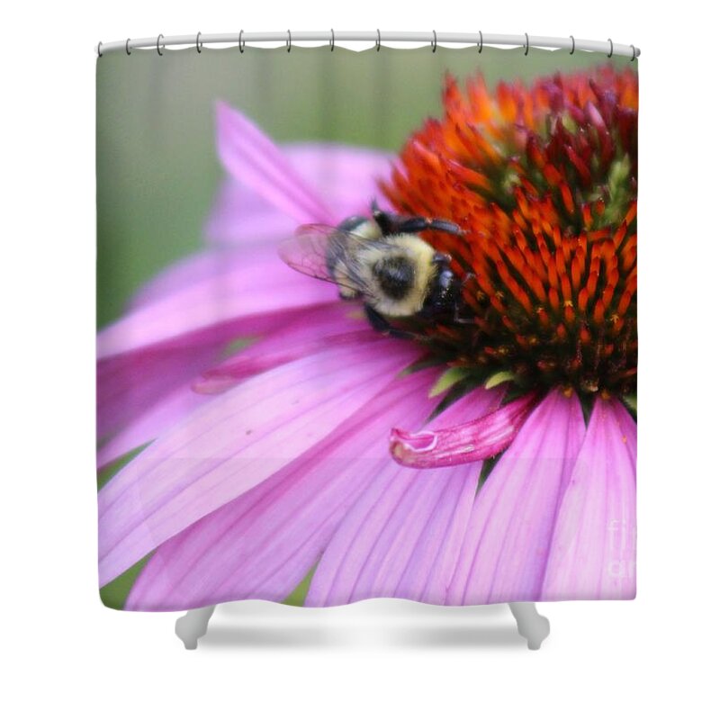 Pink Shower Curtain featuring the photograph Nature's Beauty 82 by Deena Withycombe
