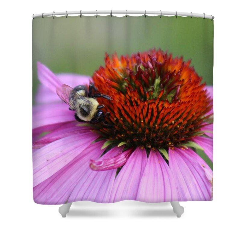 Pink Shower Curtain featuring the photograph Nature's Beauty 84 by Deena Withycombe
