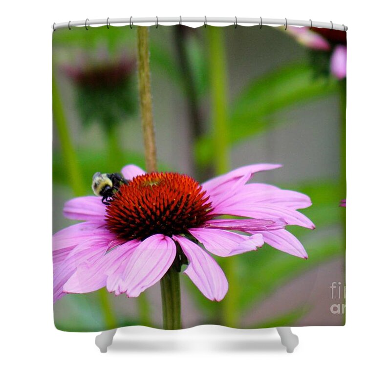 Pink Shower Curtain featuring the photograph Nature's Beauty 90 by Deena Withycombe