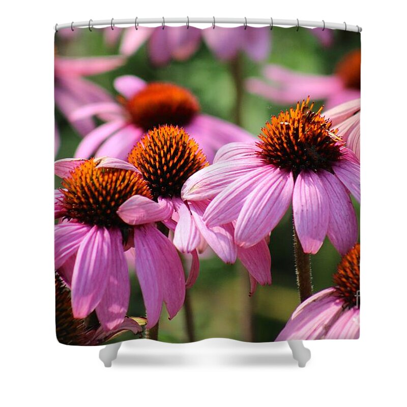 Pink Shower Curtain featuring the photograph Nature's Beauty 97 by Deena Withycombe