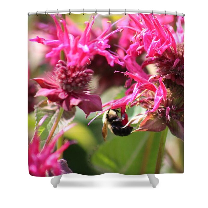 Pink Shower Curtain featuring the photograph Nature's Beauty 99 by Deena Withycombe