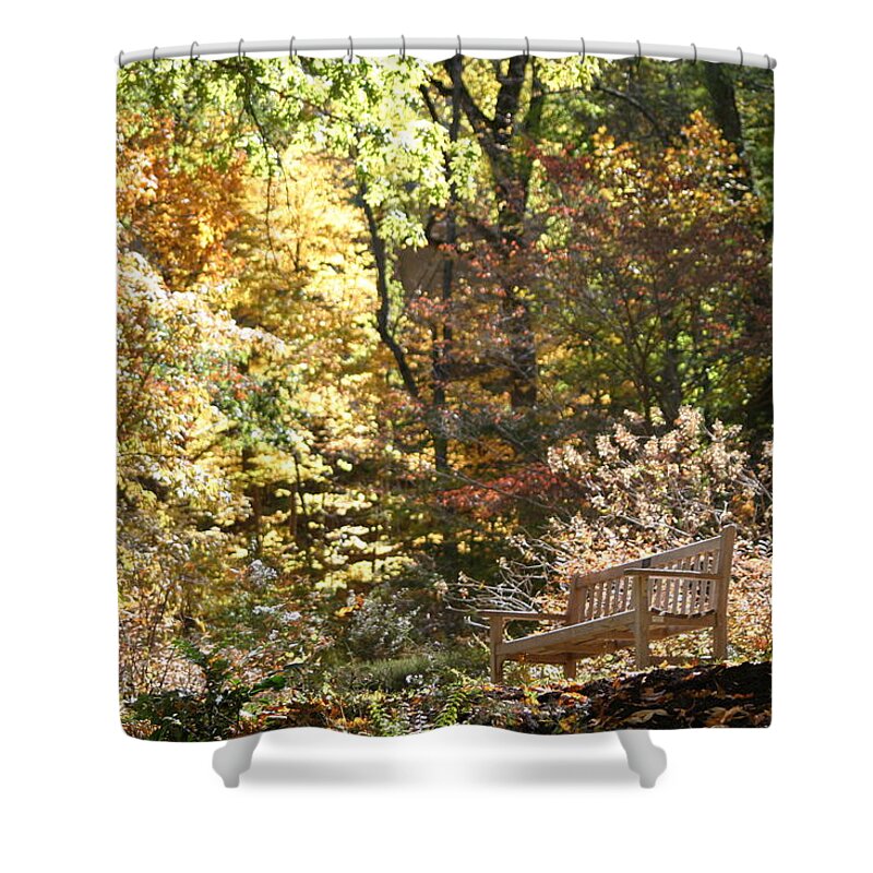 Autumn Shower Curtain featuring the photograph Nature's Best Seat by Living Color Photography Lorraine Lynch