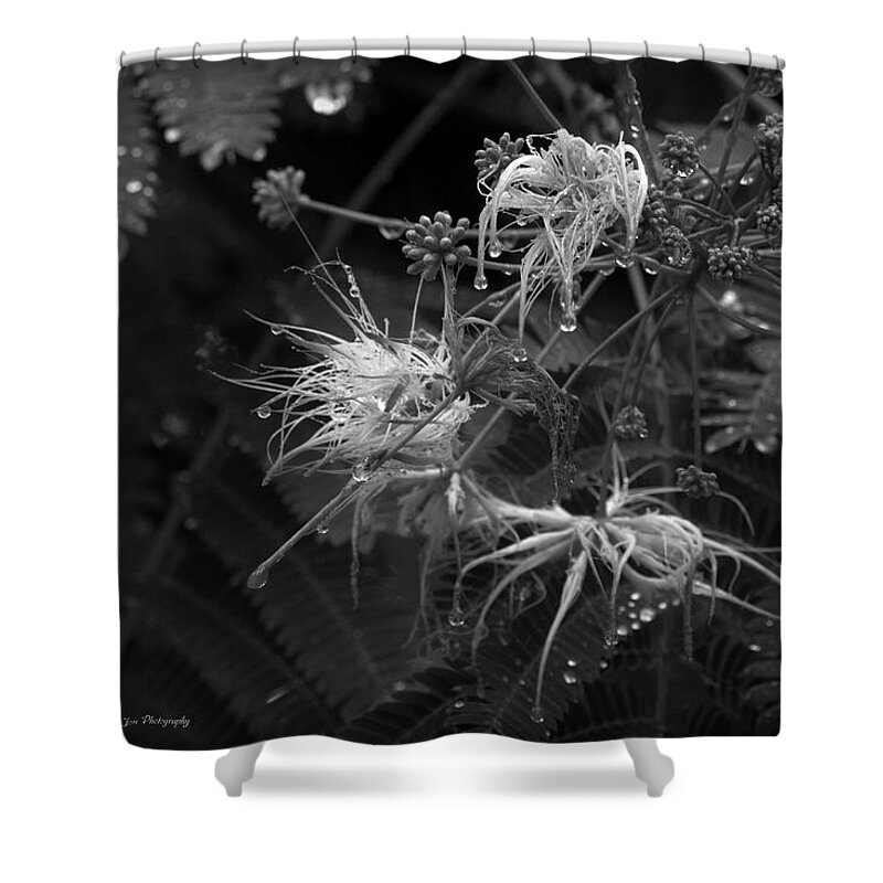 Natural Shower Curtain featuring the photograph Nature's Decor by Jeanette C Landstrom
