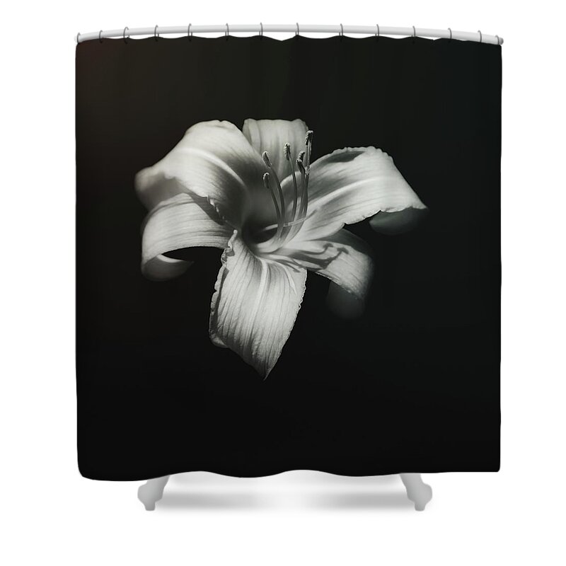 Lily Shower Curtain featuring the photograph Natures Fireworks by Scott Norris