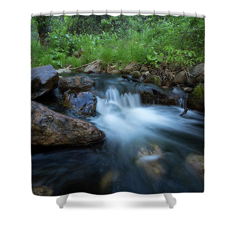 Beauty Shower Curtain featuring the photograph Nature's Harmony by Sue Cullumber