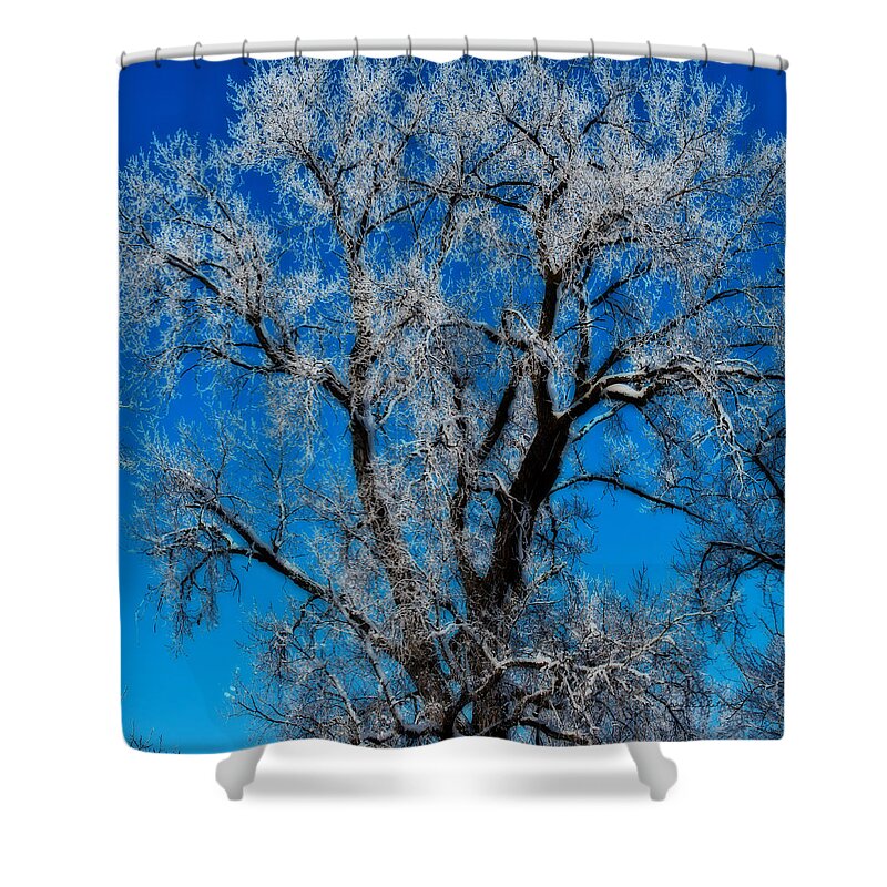 Standing Bear Lake Shower Curtain featuring the photograph Natures Lace by Ed Peterson